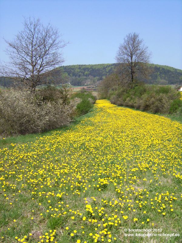 Bei Etzlwang (5l)